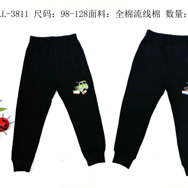 Boys' Lightweight Pants LL3811