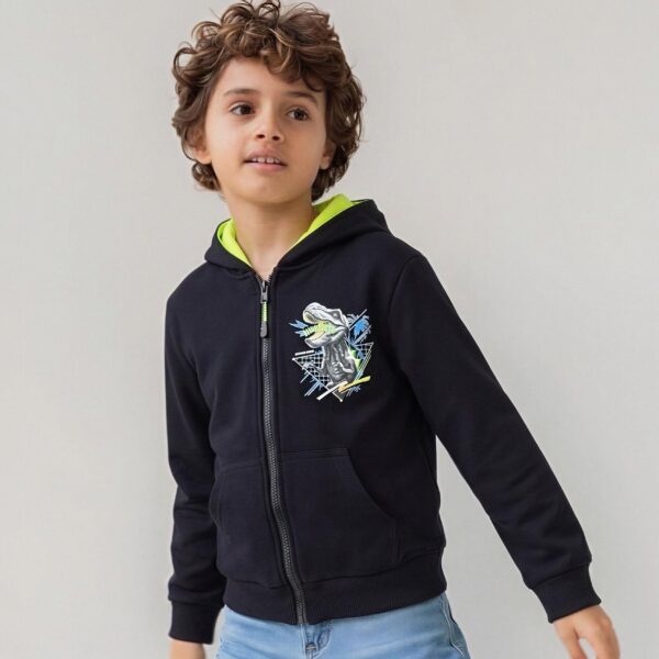 Boys' Lightweight Zip-Up Hoodie LL3858